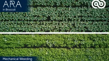 Ecorobotix впервые в мире запустит алгоритм сверхточного опрыскивания